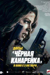 Досье «Чёрная канарейка» смотреть онлайн бесплатно HD качество